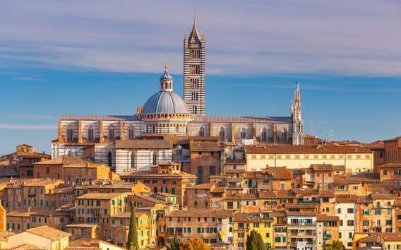 Privater Rundgang Siena mit Dom und Contrade