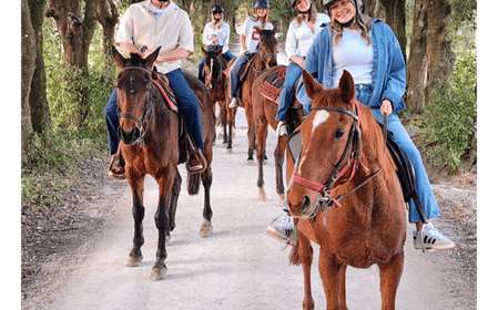 Siena: Horseback Riding Tour in the Siena Countryside