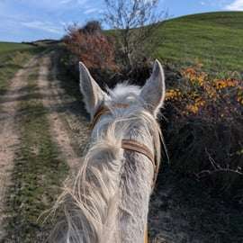 Passeggiata a cavallo in Val d'Orcia vicino a Pienza