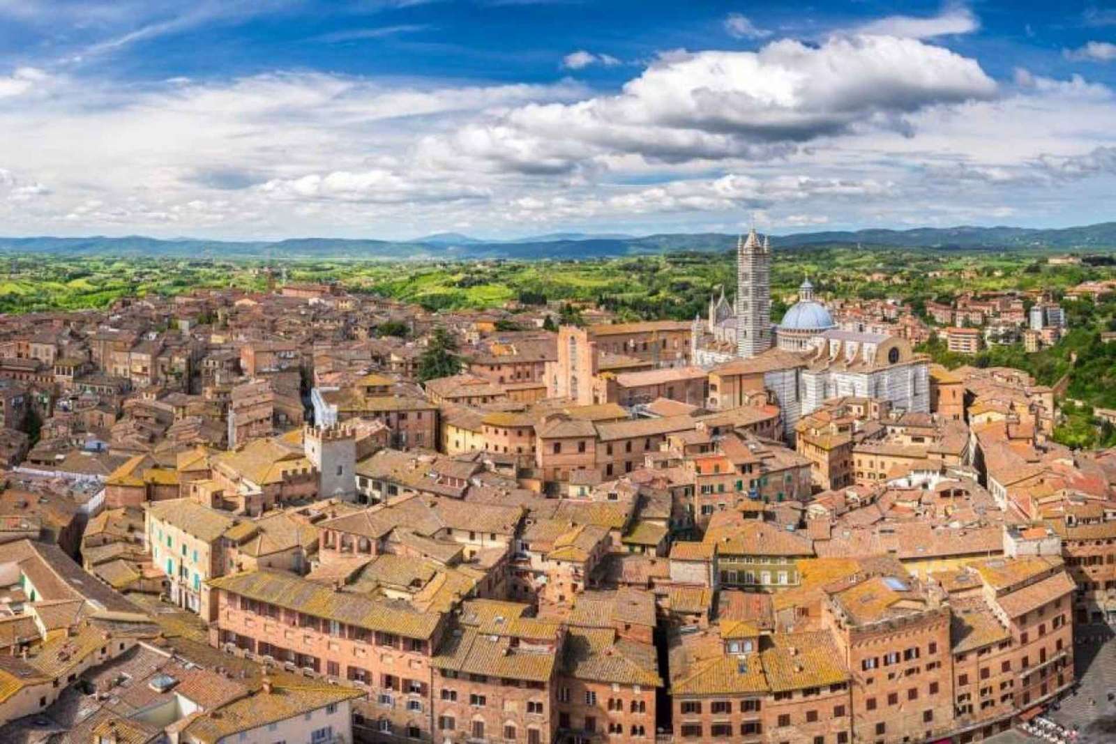 Siena Private Walking Tour: Piazza del Campo to St Catherine