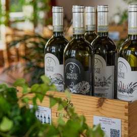 Toscana: Klassisk vinprovning