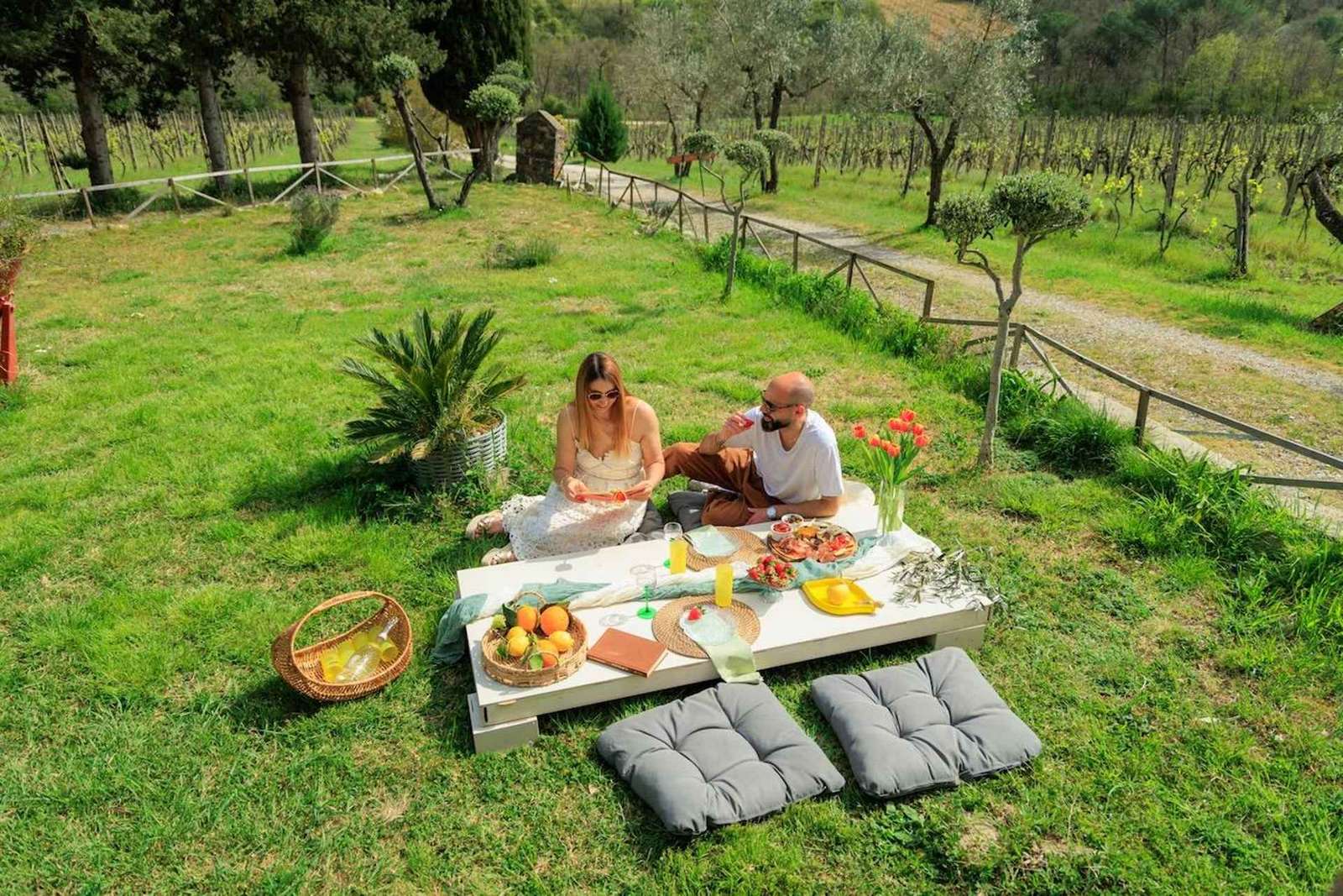 Piknik ve vinici v Chianti: Greve in Chianti s bazénem