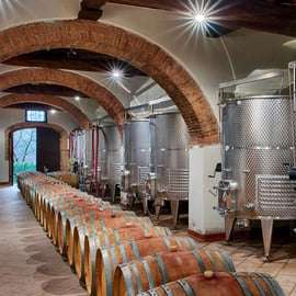 Siena: Visita e prova de vinhos num castelo privado da Toscana