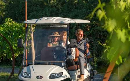 Monteriggioni: Vineyard Golf Cart Tour with Wine and Lunch