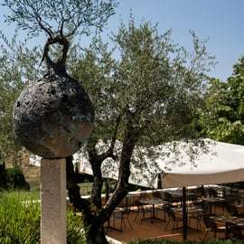 San Gimignano: Experiência de prova de vinhos em Il Colombaio