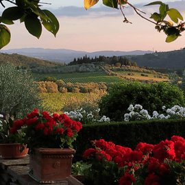 Chianti : visite de vignobles de la vigne à la bouteille avec dégustations