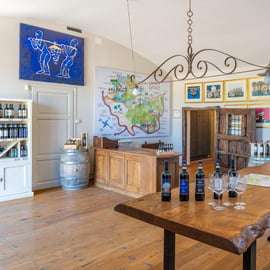 Vigneti e cantina al Molino di Grace con 4 vini