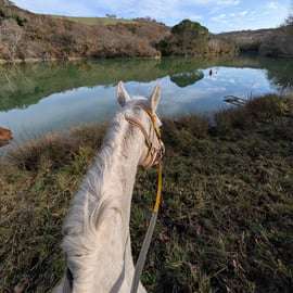 Passeggiata a cavallo in Val d'Orcia vicino a Pienza