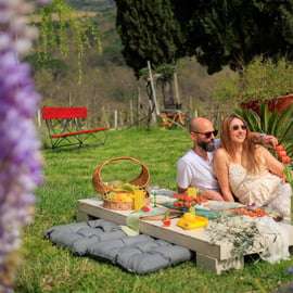 Piknik ve vinici v Chianti: Greve in Chianti s bazénem