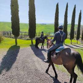 Jízda na koni v Buonconventu: Crete Senesi