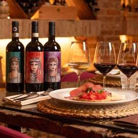 Poggio ai Laghi: Prova de vinhos, azeites e vinagres clássicos