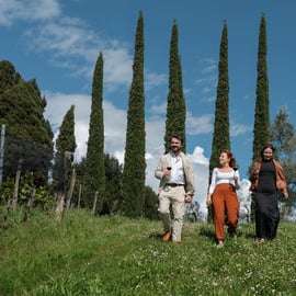 Sienne : Visite d'un vignoble biologique et dégustation de vin